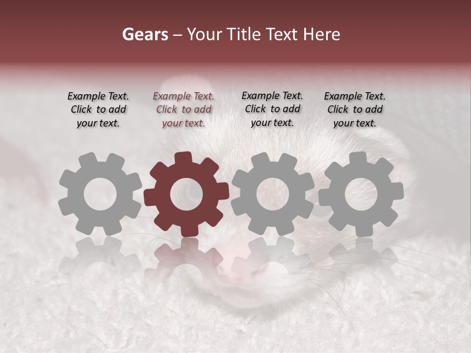 A Ferret Peeking Out From Under A Blanket PowerPoint Template