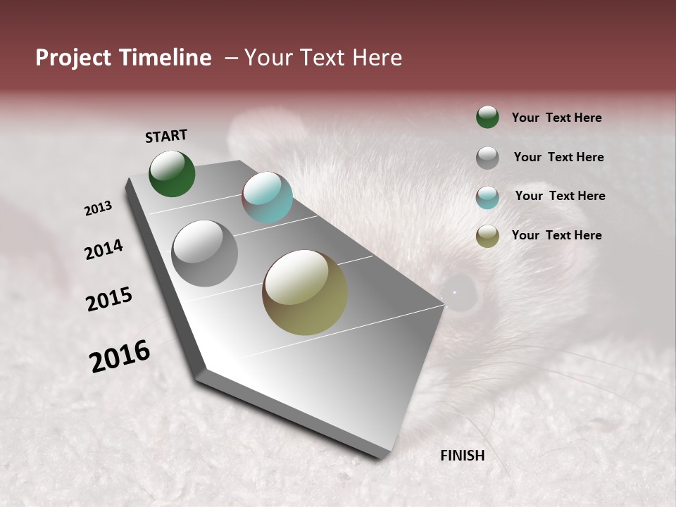 A Ferret Peeking Out From Under A Blanket PowerPoint Template