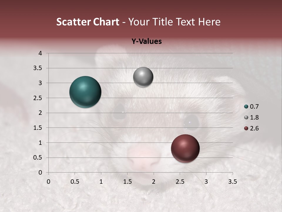 A Ferret Peeking Out From Under A Blanket PowerPoint Template