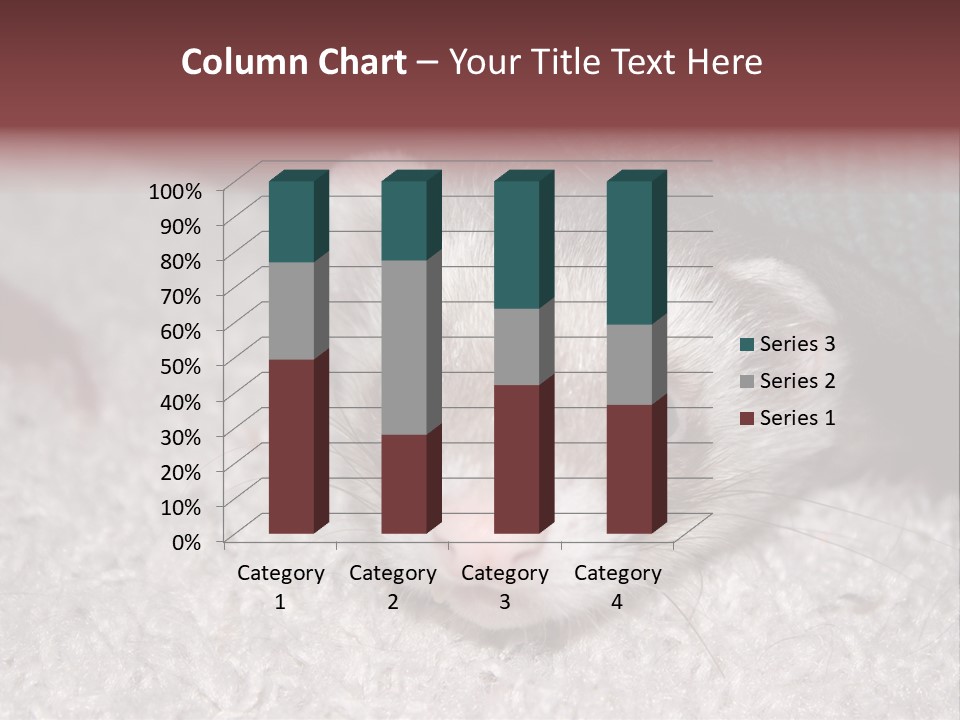 A Ferret Peeking Out From Under A Blanket PowerPoint Template