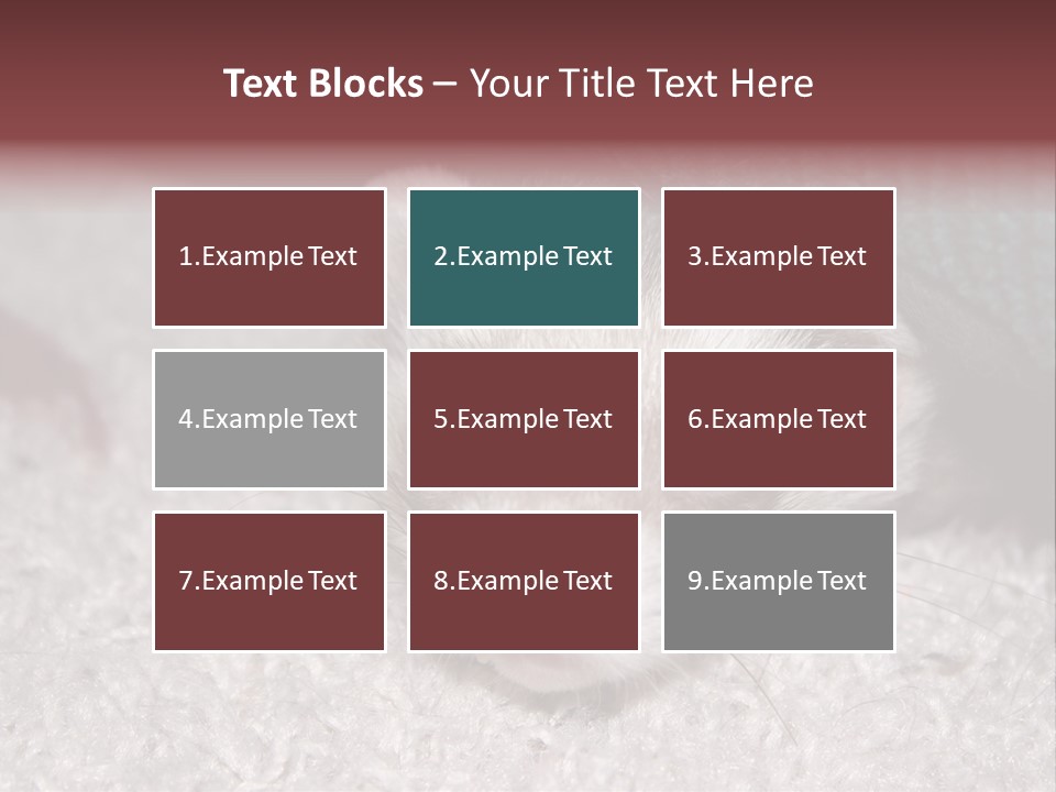 A Ferret Peeking Out From Under A Blanket PowerPoint Template