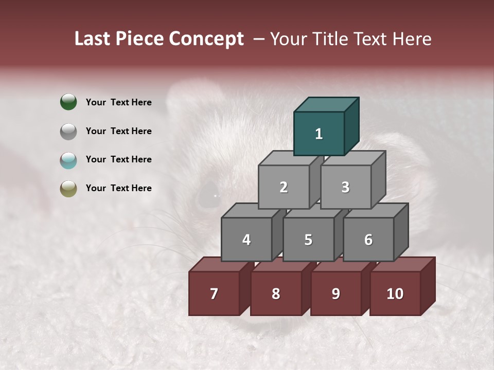 A Ferret Peeking Out From Under A Blanket PowerPoint Template