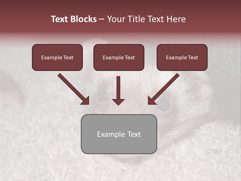 A Ferret Peeking Out From Under A Blanket PowerPoint Template
