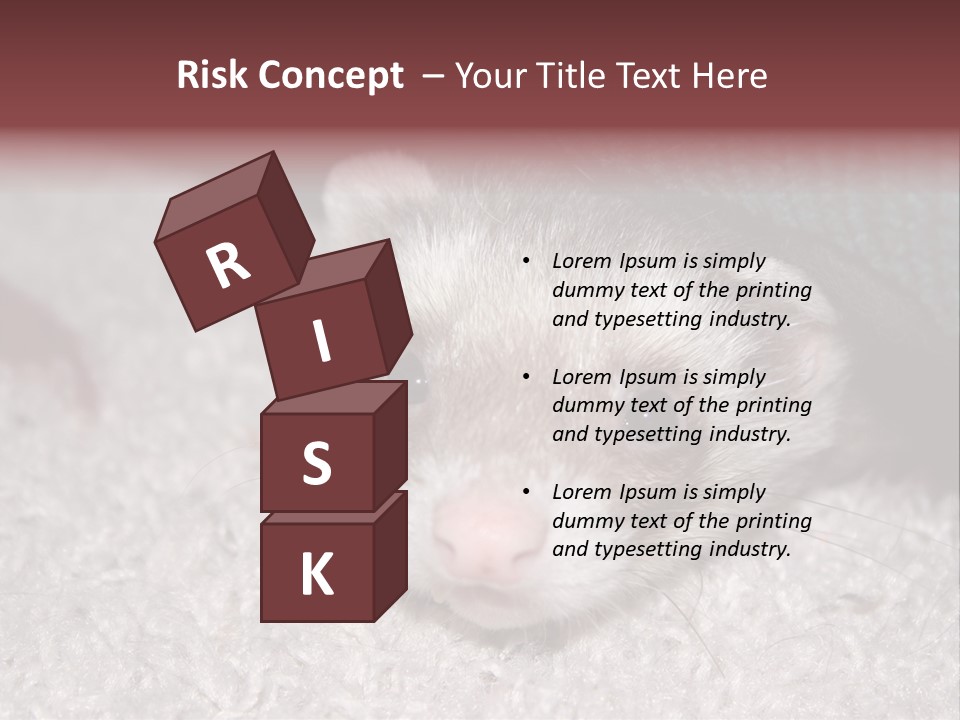 A Ferret Peeking Out From Under A Blanket PowerPoint Template
