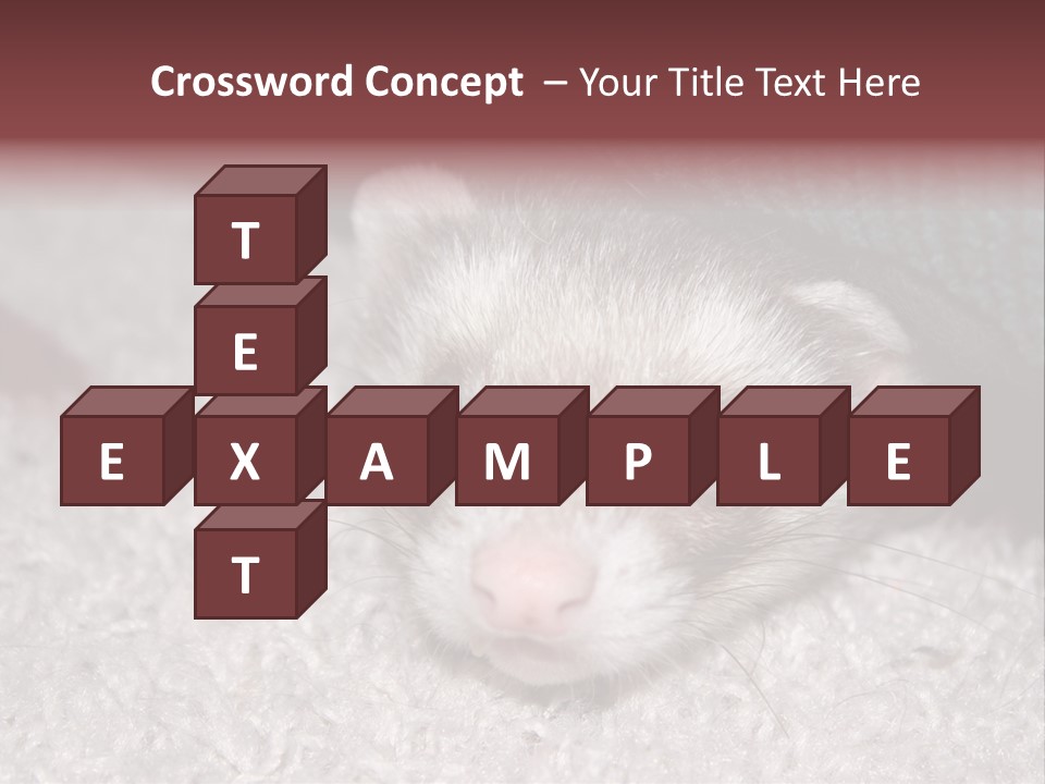 A Ferret Peeking Out From Under A Blanket PowerPoint Template