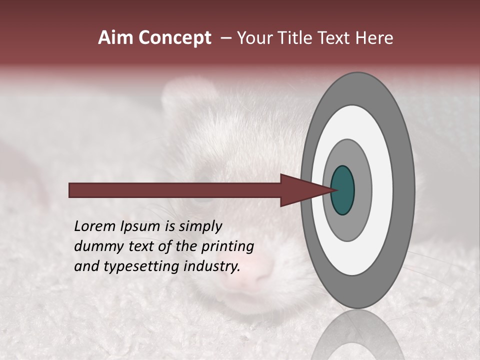 A Ferret Peeking Out From Under A Blanket PowerPoint Template