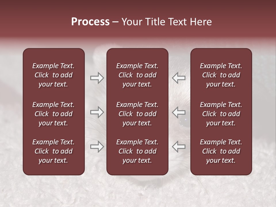 A Ferret Peeking Out From Under A Blanket PowerPoint Template