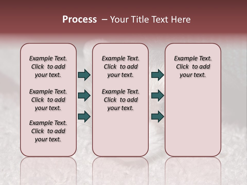 A Ferret Peeking Out From Under A Blanket PowerPoint Template