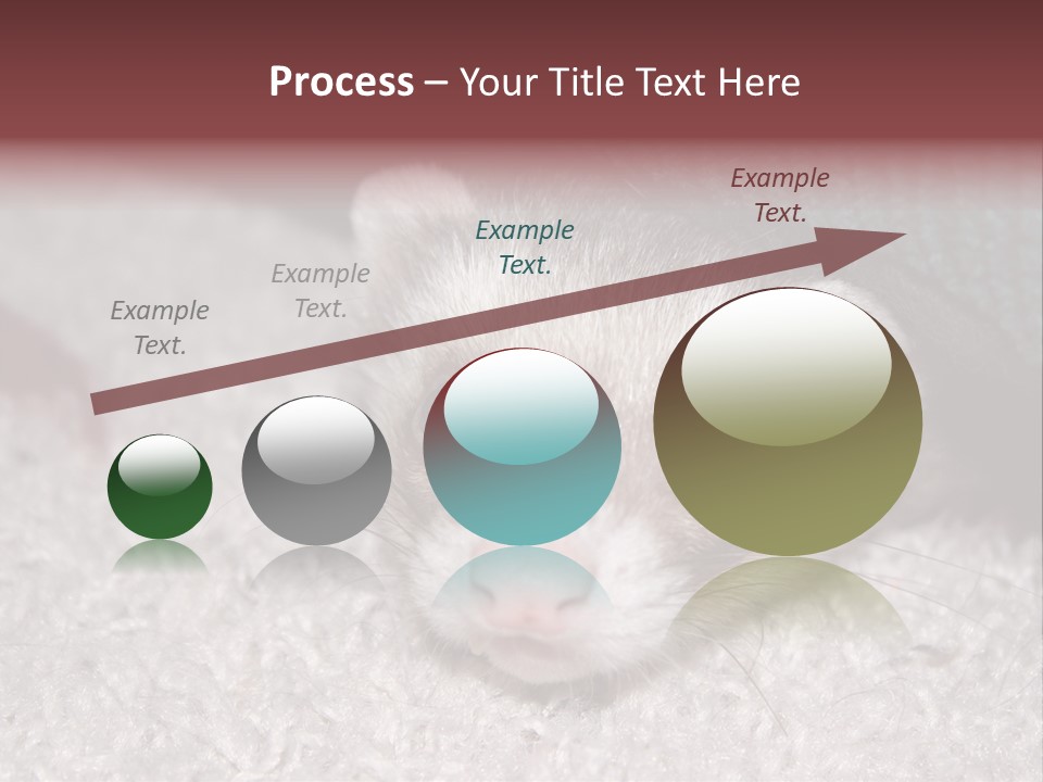 A Ferret Peeking Out From Under A Blanket PowerPoint Template