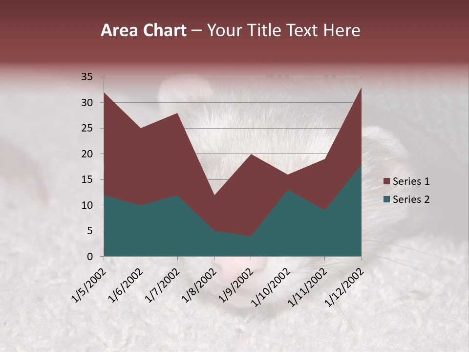 A Ferret Peeking Out From Under A Blanket PowerPoint Template