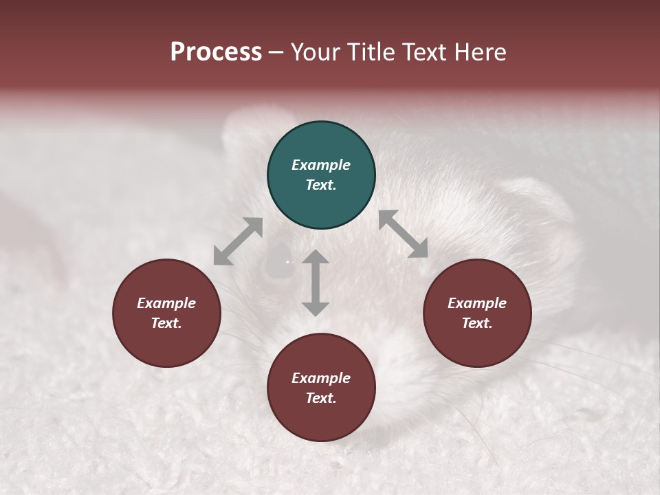 A Ferret Peeking Out From Under A Blanket PowerPoint Template