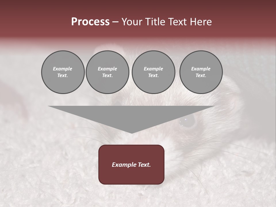 A Ferret Peeking Out From Under A Blanket PowerPoint Template