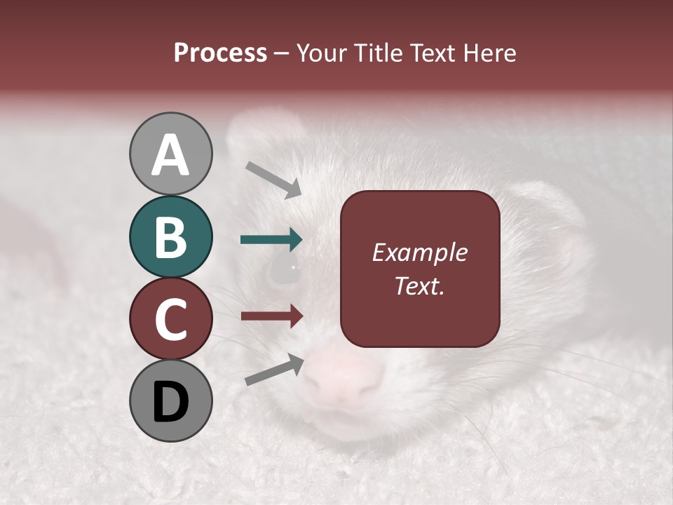 A Ferret Peeking Out From Under A Blanket PowerPoint Template