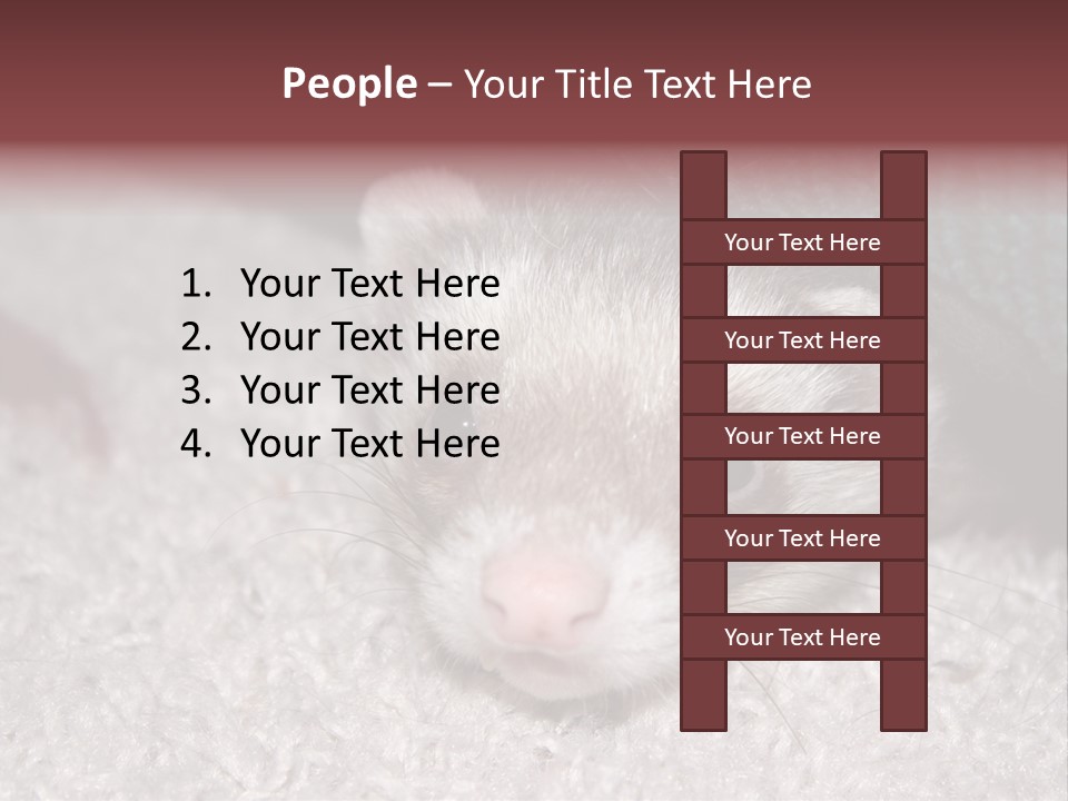 A Ferret Peeking Out From Under A Blanket PowerPoint Template