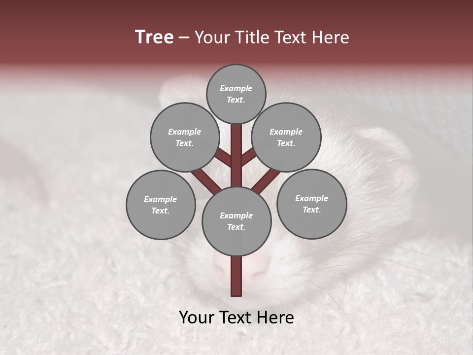 A Ferret Peeking Out From Under A Blanket PowerPoint Template