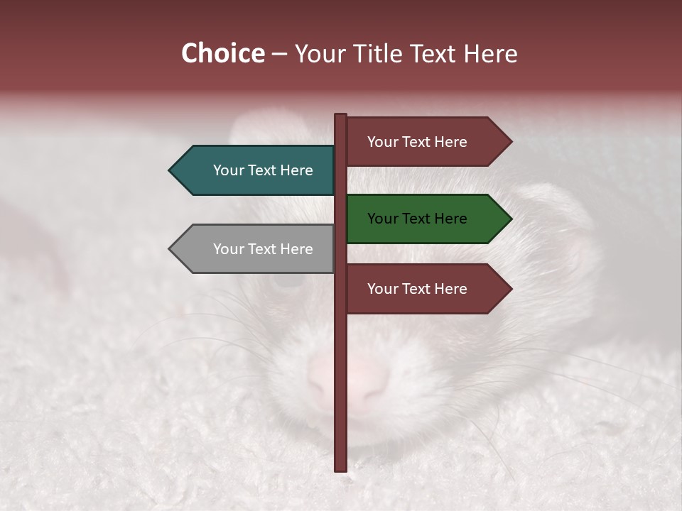 A Ferret Peeking Out From Under A Blanket PowerPoint Template