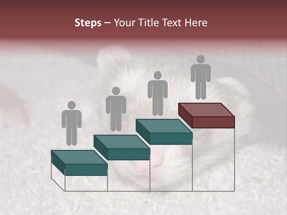 A Ferret Peeking Out From Under A Blanket PowerPoint Template