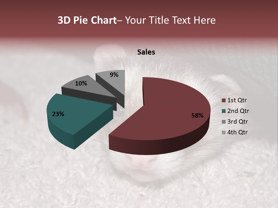 A Ferret Peeking Out From Under A Blanket PowerPoint Template