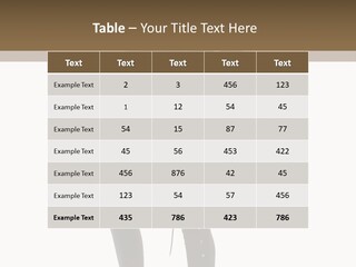 A Woman In A Black Leather Jacket Holding A Brown Purse PowerPoint Template