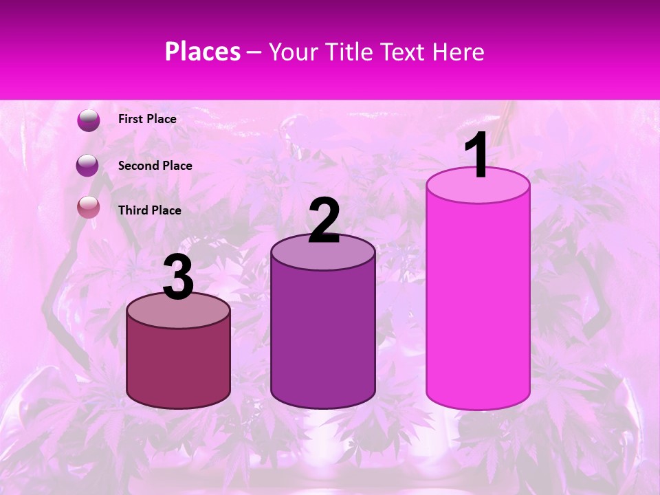 A Picture Of A Plant With Purple Leaves PowerPoint Template