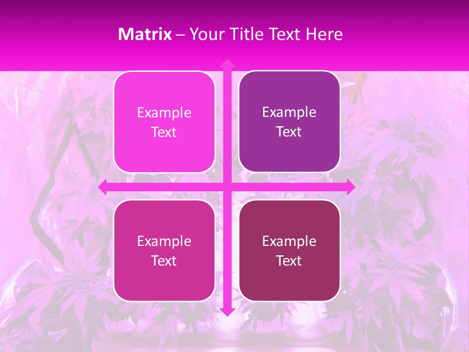 A Picture Of A Plant With Purple Leaves PowerPoint Template