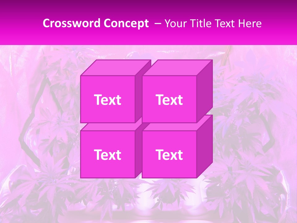 A Picture Of A Plant With Purple Leaves PowerPoint Template