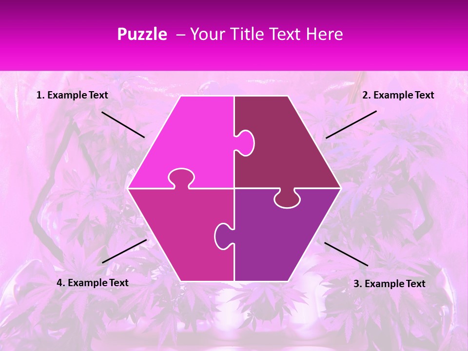 A Picture Of A Plant With Purple Leaves PowerPoint Template