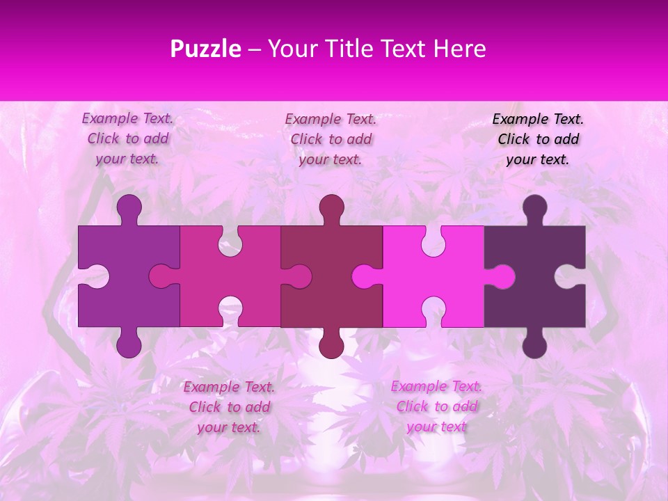 A Picture Of A Plant With Purple Leaves PowerPoint Template