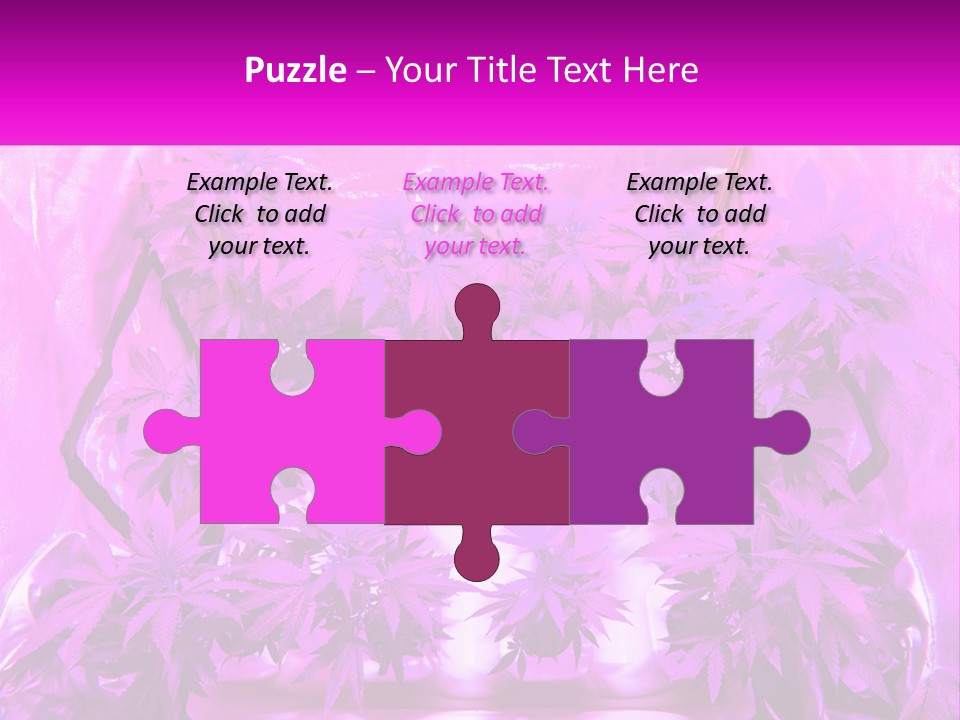 A Picture Of A Plant With Purple Leaves PowerPoint Template