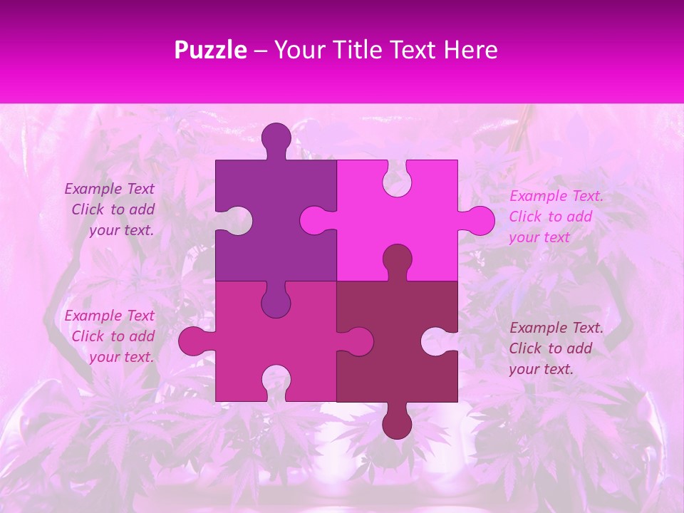 A Picture Of A Plant With Purple Leaves PowerPoint Template