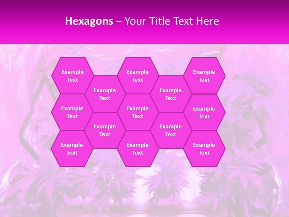 A Picture Of A Plant With Purple Leaves PowerPoint Template