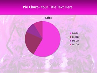 A Picture Of A Plant With Purple Leaves PowerPoint Template