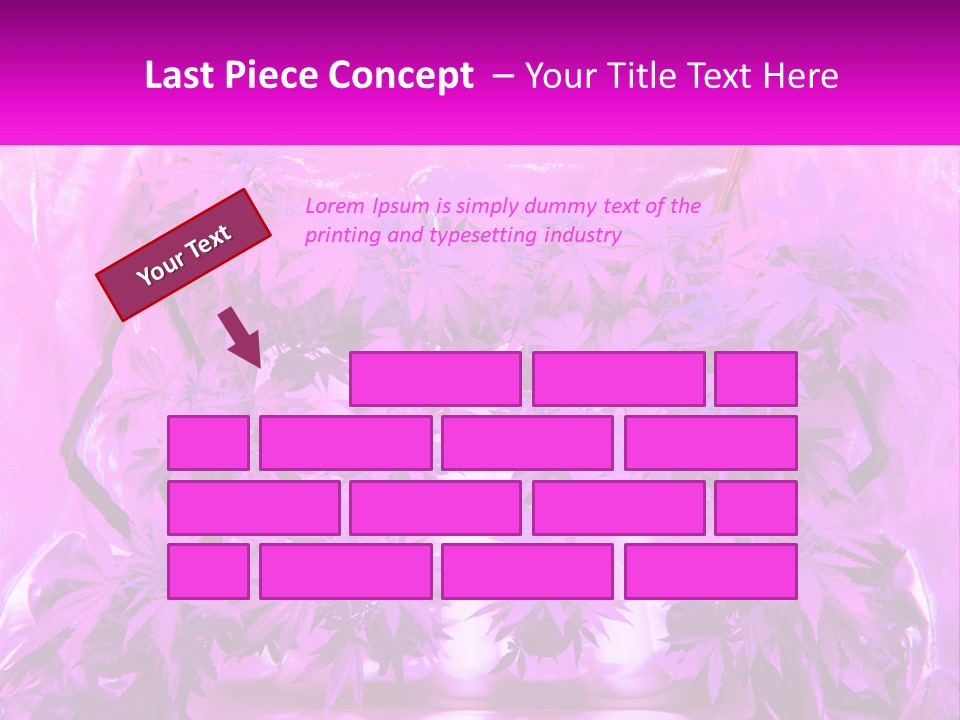 A Picture Of A Plant With Purple Leaves PowerPoint Template