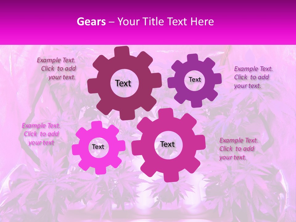 A Picture Of A Plant With Purple Leaves PowerPoint Template