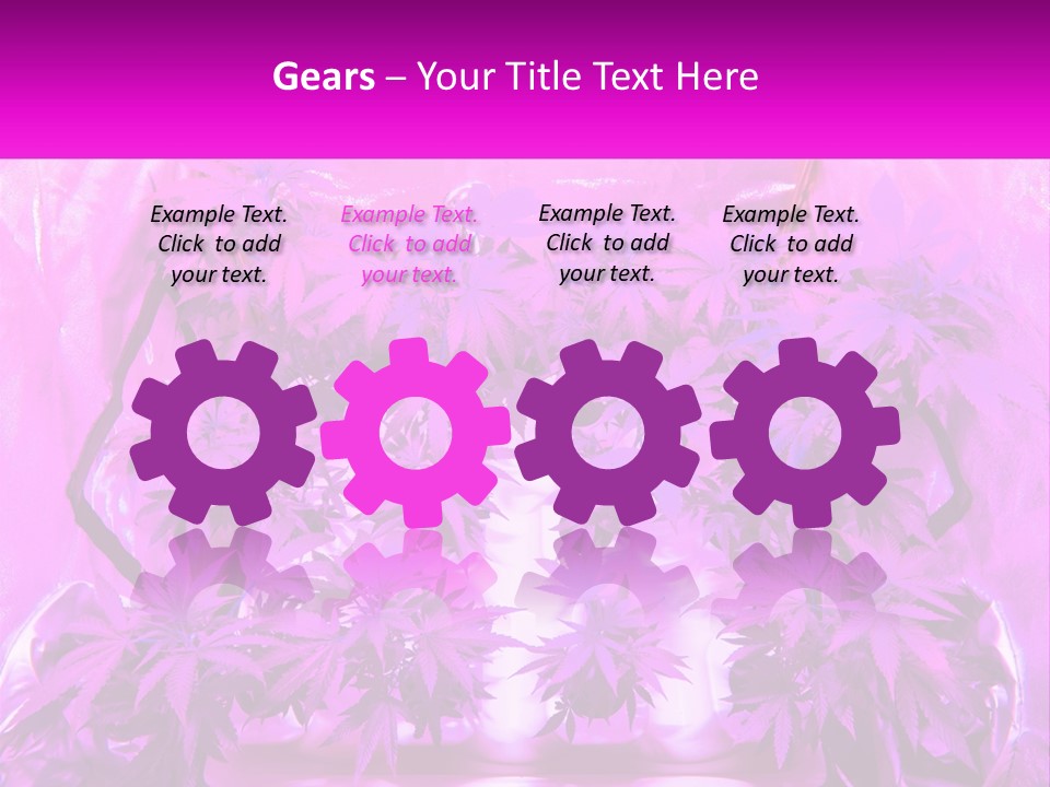 A Picture Of A Plant With Purple Leaves PowerPoint Template
