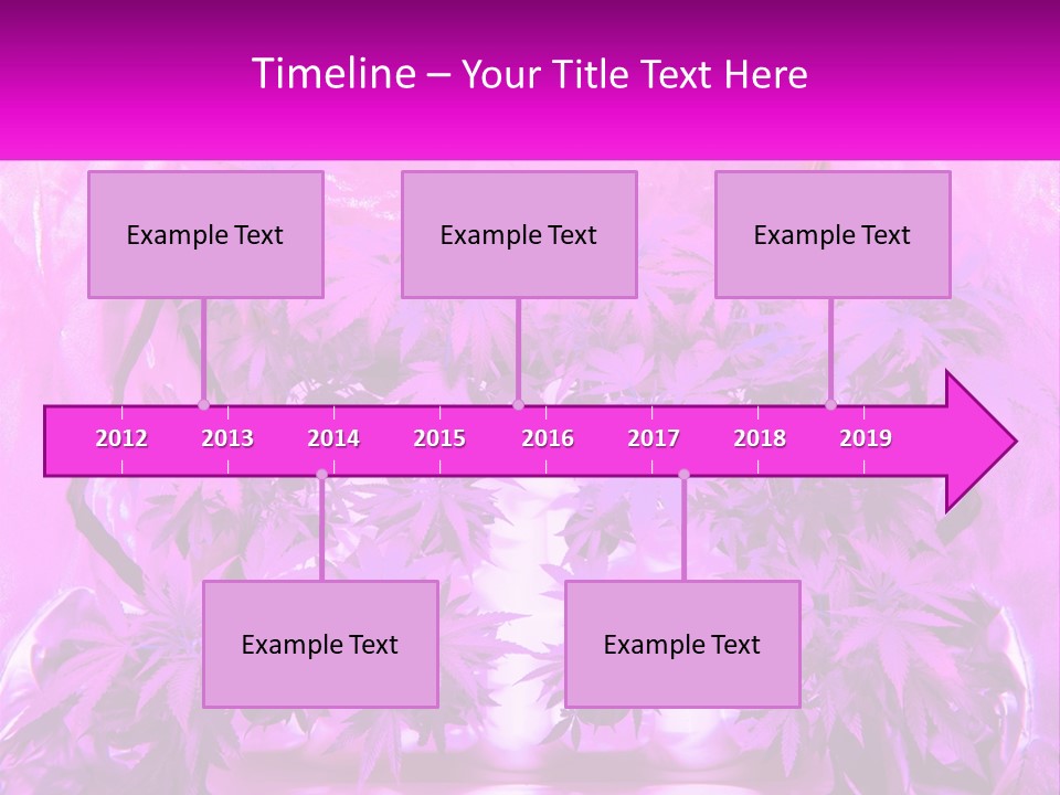 A Picture Of A Plant With Purple Leaves PowerPoint Template