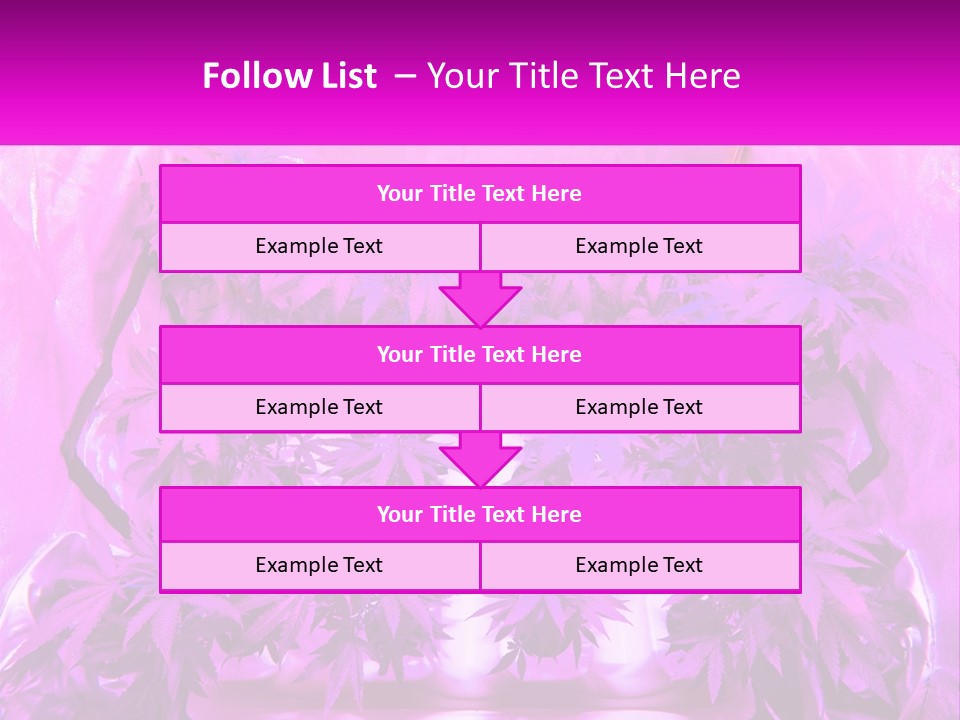 A Picture Of A Plant With Purple Leaves PowerPoint Template