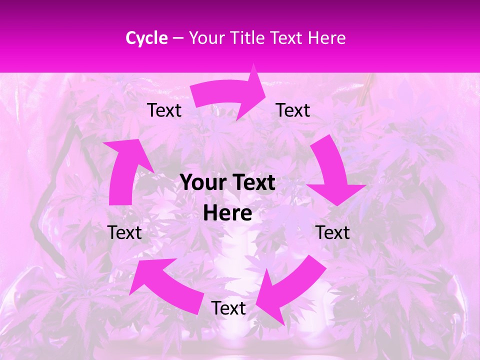 A Picture Of A Plant With Purple Leaves PowerPoint Template