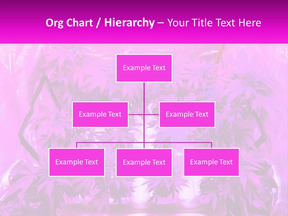 A Picture Of A Plant With Purple Leaves PowerPoint Template