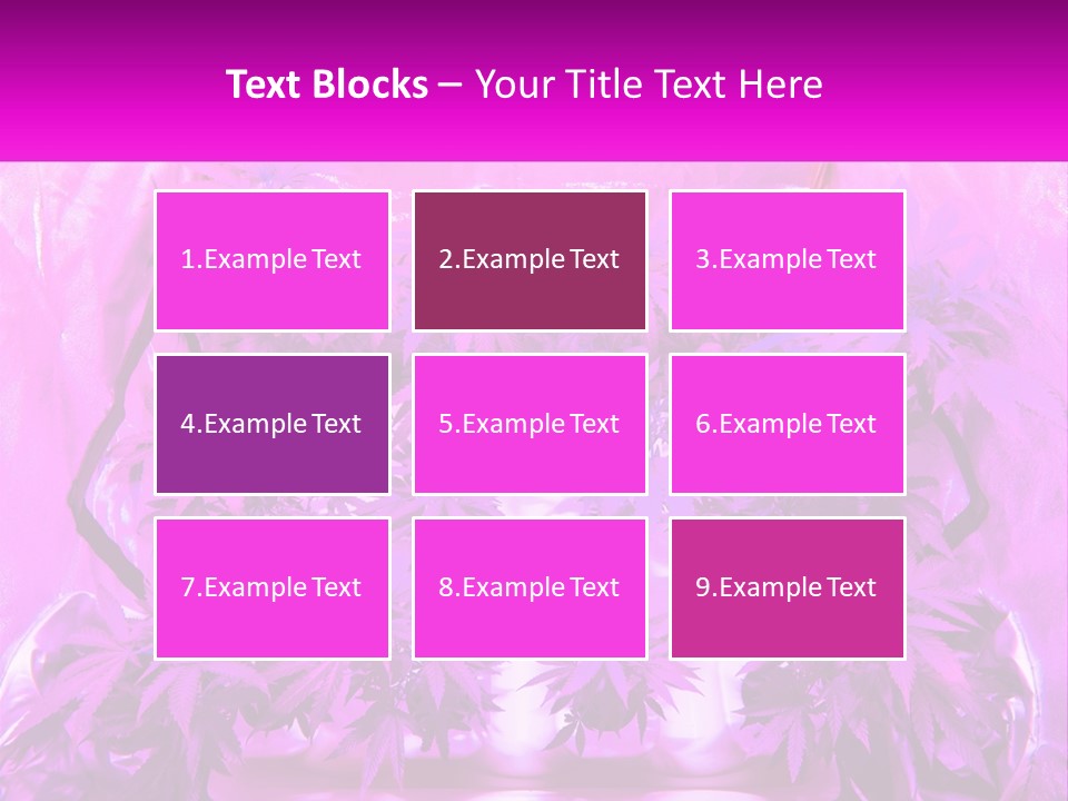 A Picture Of A Plant With Purple Leaves PowerPoint Template