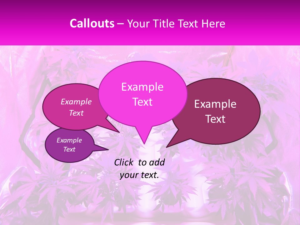 A Picture Of A Plant With Purple Leaves PowerPoint Template