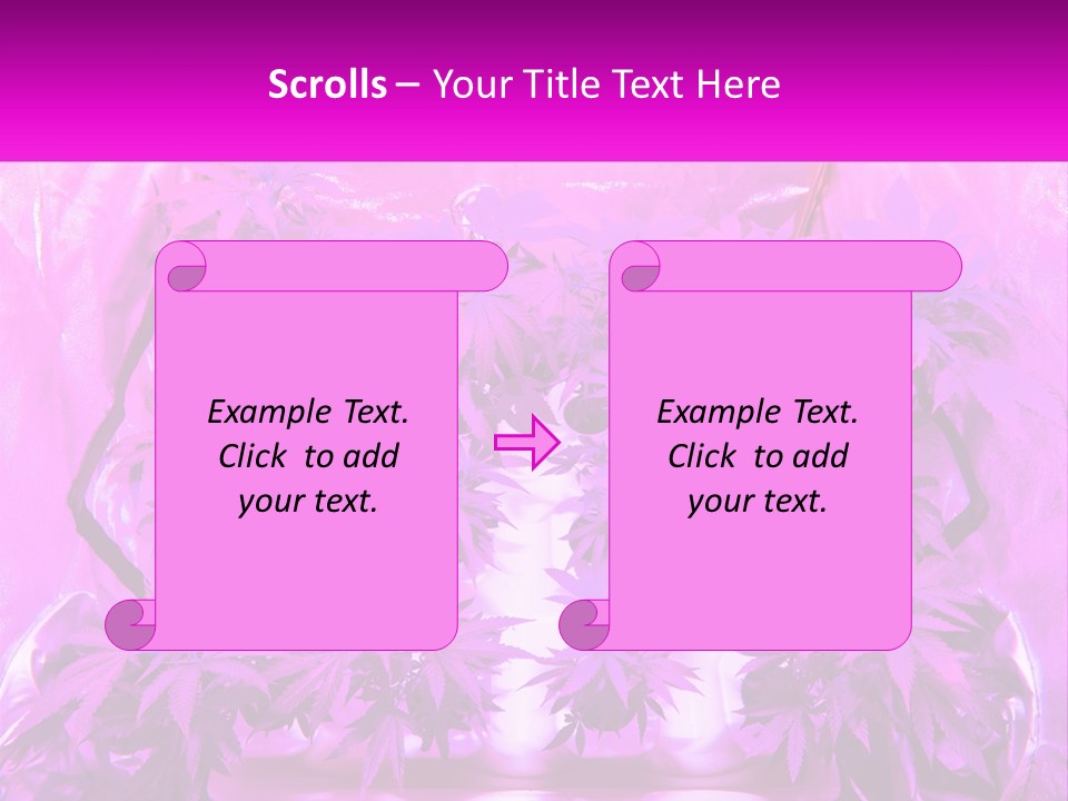 A Picture Of A Plant With Purple Leaves PowerPoint Template