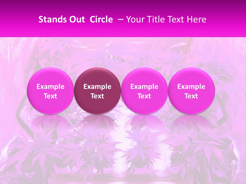 A Picture Of A Plant With Purple Leaves PowerPoint Template