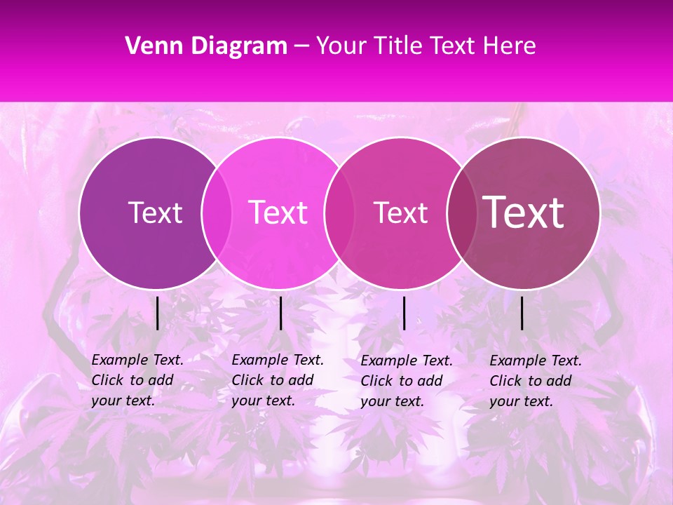 A Picture Of A Plant With Purple Leaves PowerPoint Template