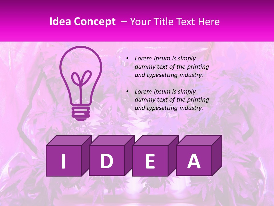 A Picture Of A Plant With Purple Leaves PowerPoint Template
