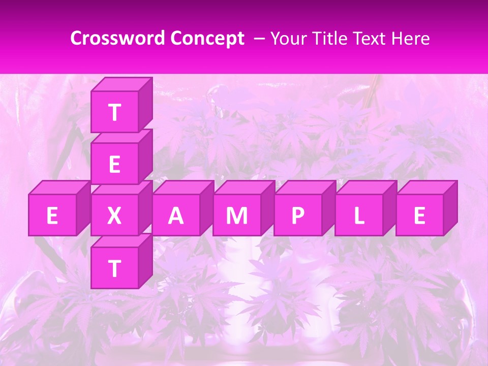 A Picture Of A Plant With Purple Leaves PowerPoint Template