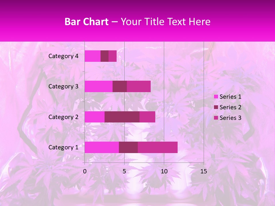 A Picture Of A Plant With Purple Leaves PowerPoint Template