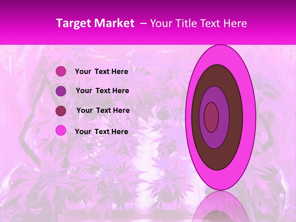A Picture Of A Plant With Purple Leaves PowerPoint Template