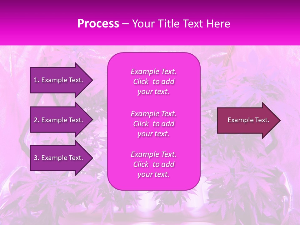 A Picture Of A Plant With Purple Leaves PowerPoint Template