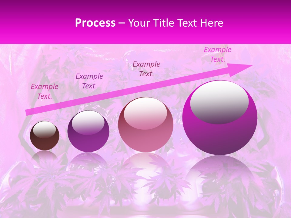 A Picture Of A Plant With Purple Leaves PowerPoint Template